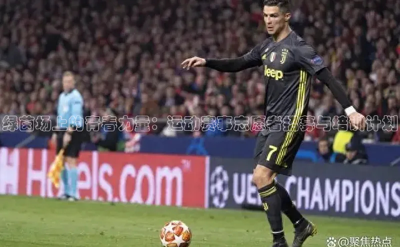 米兰体育全站app官网百度数据开放平台绿茵场上的青春力量：运动赛事志愿者招募与培训计划