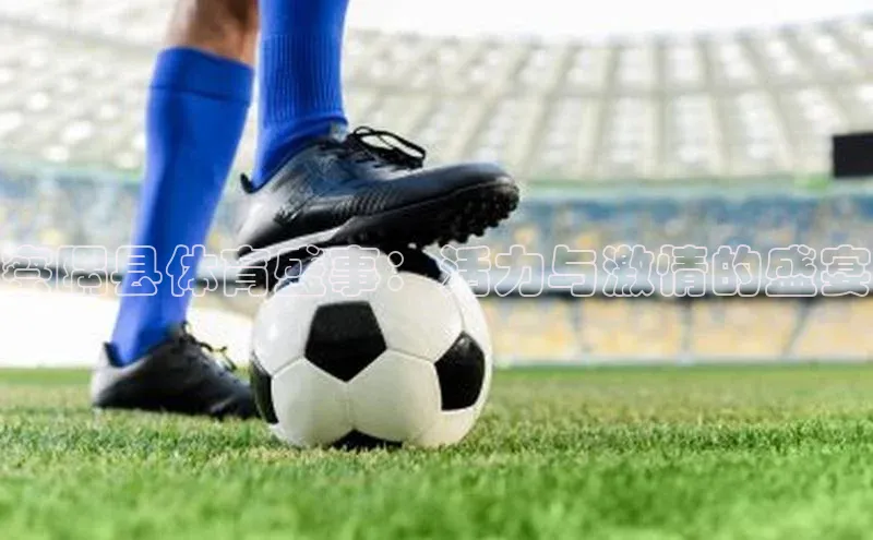 米兰体育全站百度人工翻译察隅县体育盛事：活力与激情的盛宴