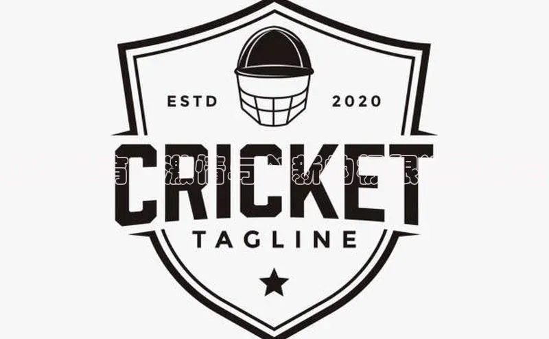 上思体育：激情与创新的极限运动盛会