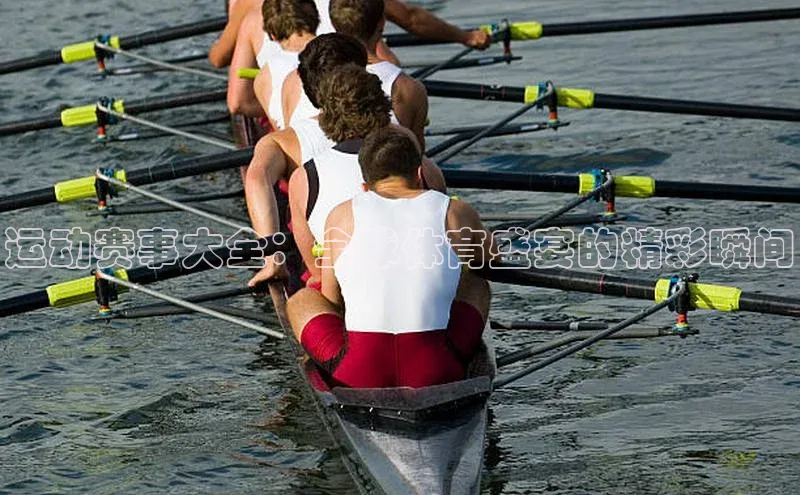 运动赛事大全：全球体育盛宴的精彩瞬间