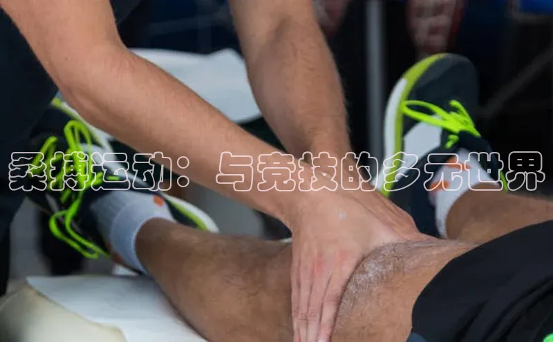 桑搏运动：与竞技的多元世界