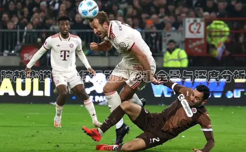 跨越赛道：田径运动员赛事全景与深度分析