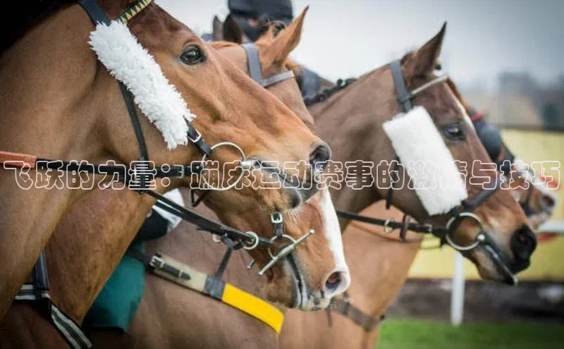 飞跃的力量：蹦床运动赛事的激情与技巧