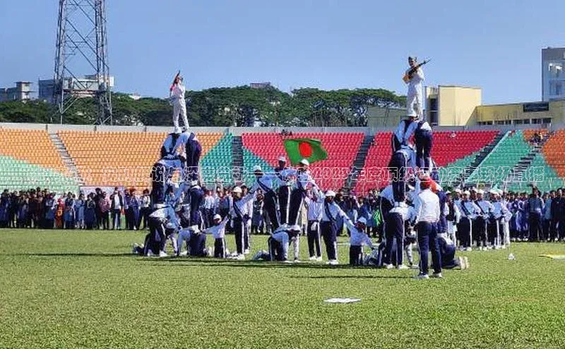 飞跃赛场：实时解说与深度分析——体验2023年度顶级运动赛事现场直播