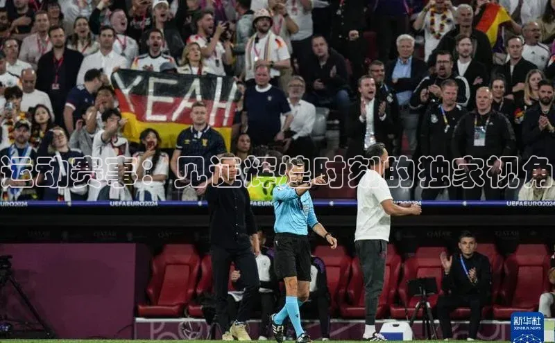 运动赛事：见证辉煌时刻的独家视角