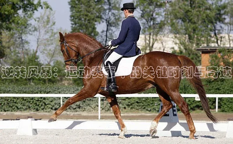 逆转风暴：运动赛事中的关键时刻与奇迹