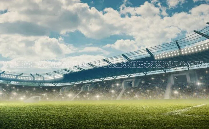 冰雪盛宴：沈阳滑雪运动赛事中心的盛装迎接未来挑战与合作机遇