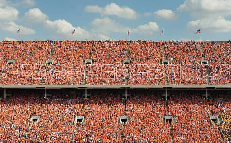 ：运动赛事背后的摄影利器选择