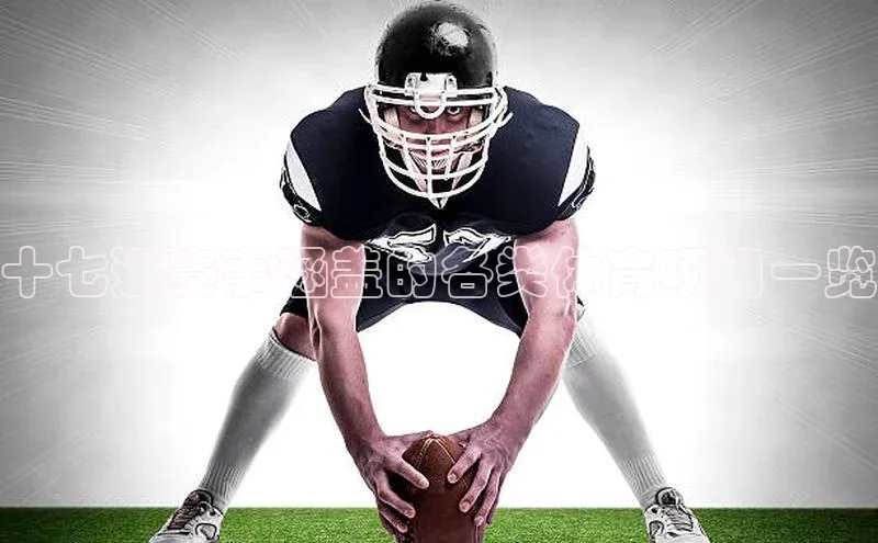 十七运赛事涵盖的各类体育项目一览