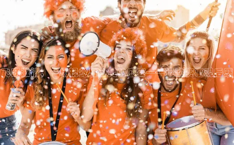 飞跃激情：一场视觉与心灵的盛宴——运动赛事观后感