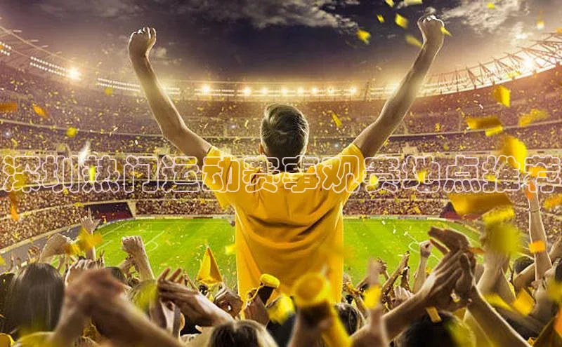 米兰app·体育登录入口