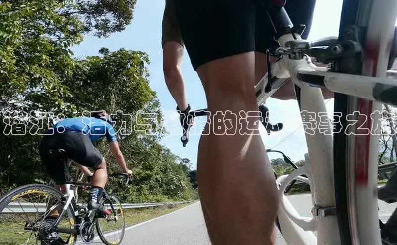 米兰app官方正版官网